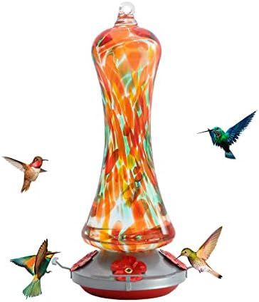 Birdkiss Hummingbird Feeder for Outdoors Hanging, Hand Blown Glass Hummingbird Gift with Perch, L... | Amazon (US)