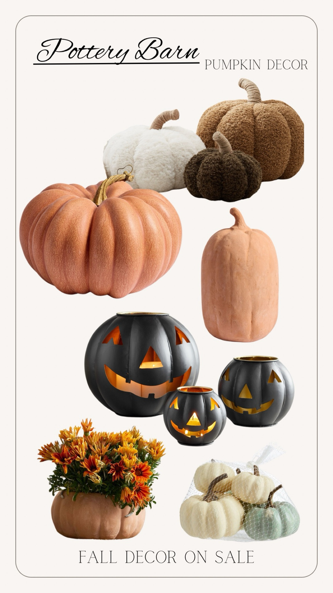 Fall pumpkins and fall decor on sale at pottery barn! These terracotta pumpkins are a favorite.

Fall decor, pumpkins, home decor, seasonal decor, pottery barn, Halloween 

#LTKSeasonal #LTKHome #LTKSaleAlert
