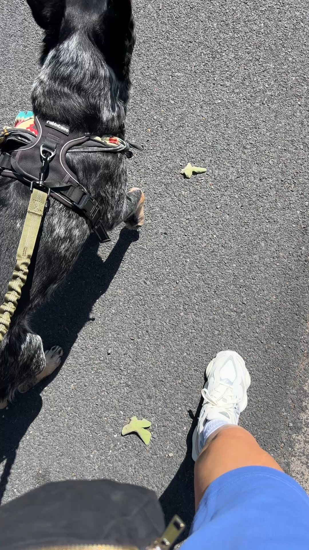 Finally got the shoeesssss 🤩

#LTKActive #LTKStyleTip #LTKShoeCrush