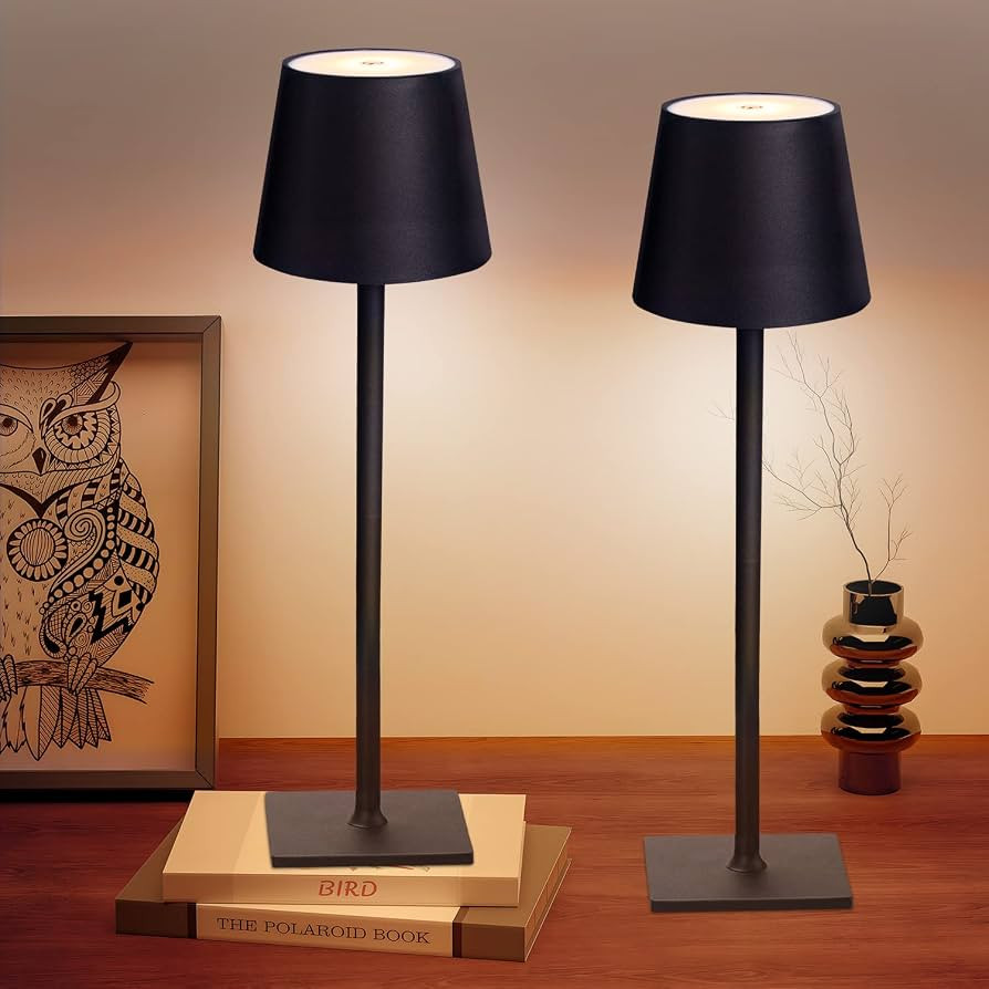 2 Pack Cordless Table Lamps, 3 Colors Stepless Dimming, 5000mAh Rechargeable Battery LED Desk Lam... | Amazon (US)