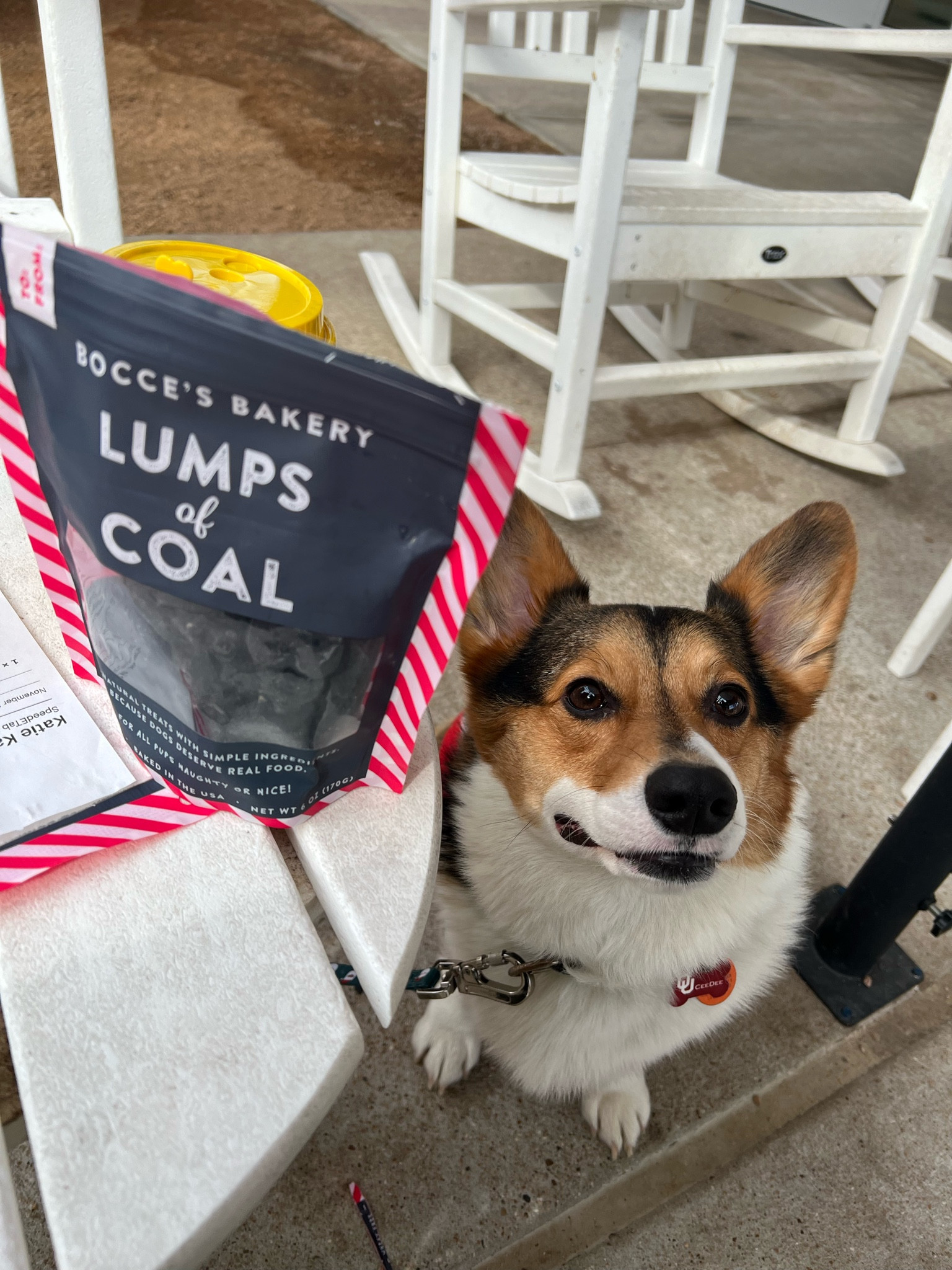 Who doesn’t love a themed Christmas treat? 🎅🏻🎄

#LTKHoliday #LTKGiftGuide #LTKSeasonal