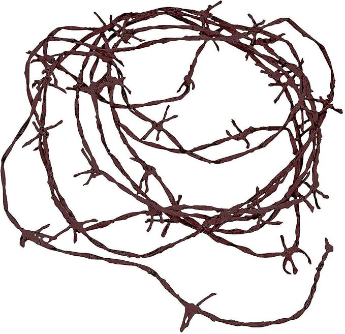 Fun Express Rusty Barbwire Cord Decoration (Soft to The Touch - 18 feet) Great for Cowboy Western... | Amazon (US)
