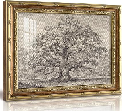 InSimSea 13x16 Gold Framed Vintage Wall Art with Glass, Sketch Oak Tree Landscape Canvas Prints, ... | Amazon (US)