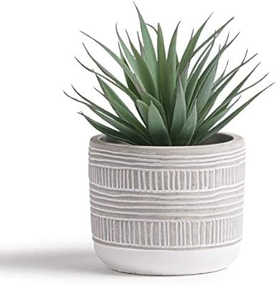 Kurrajong Farmhouse 7.5" x 4.5" Artificial Plant in Concrete Cement Pot, Beautiful Feaux Plant fo... | Amazon (US)
