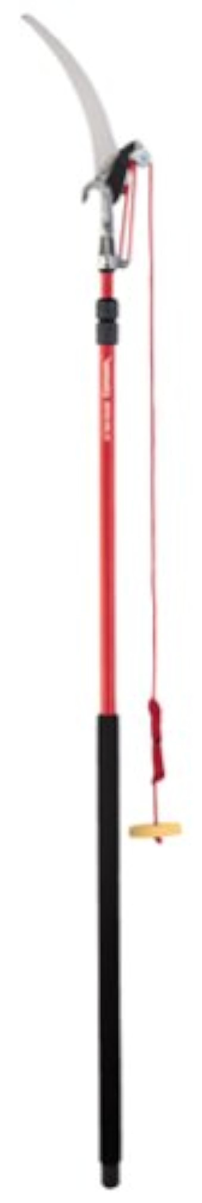 Corona TP 3841 DualCOMPOUND Action 12-ft. Tree Pruner | Amazon (US)