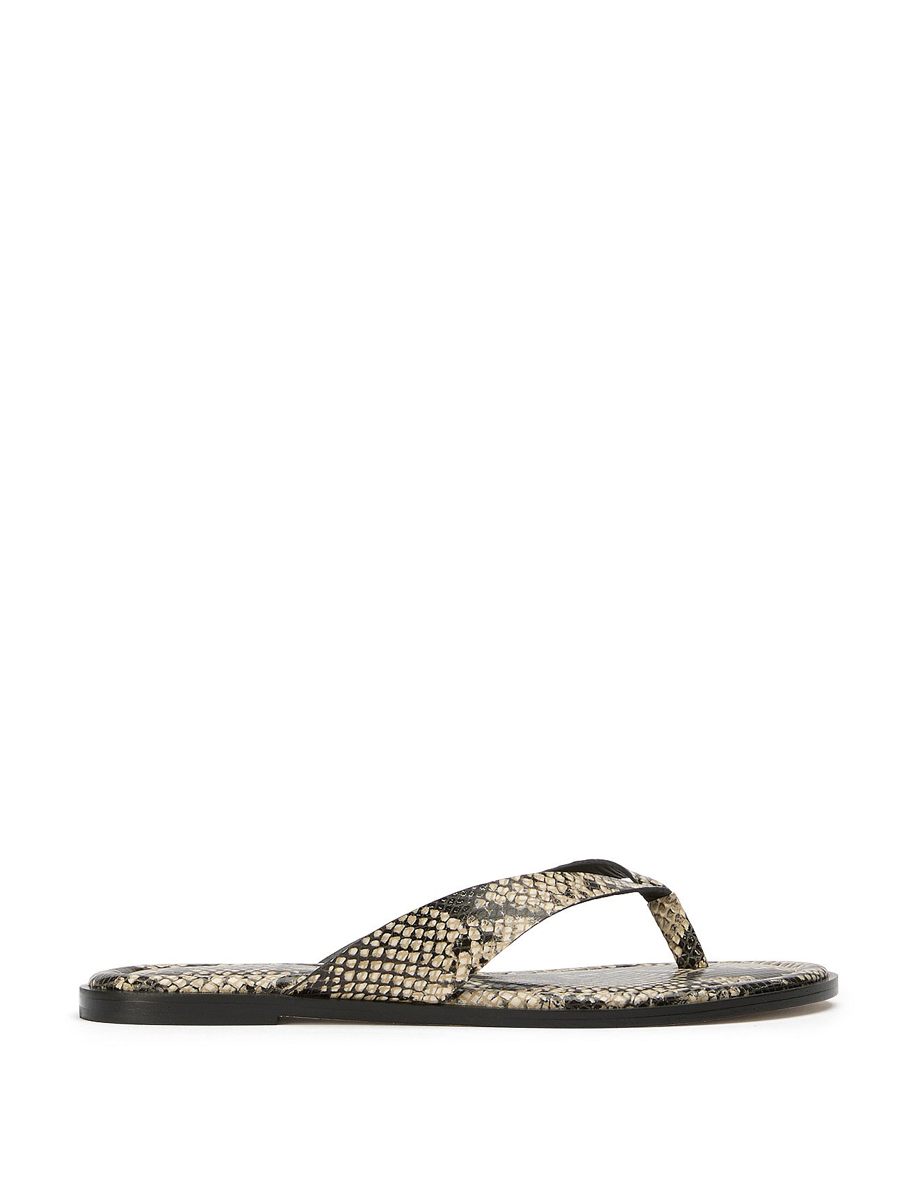 Women's Sahara Sandals | David Jones (Australia & New Zealand)
