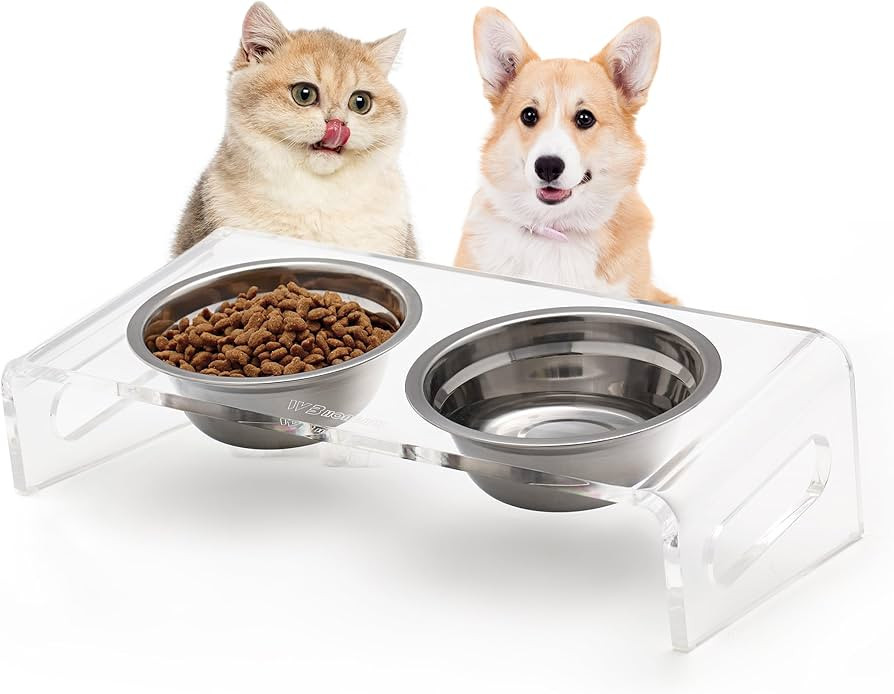 Tilted Raised Elevated Food and Water Bowls Stand for Cat or Small Dogs - Puppy's Clear Acrylic S... | Amazon (US)