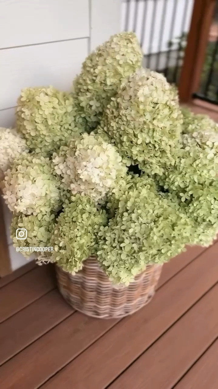 Can’t decide what planters I want for the porch + the yard is overflowing with hydrangeas = the biggest floral arrangement ever. My sweet girl loves it & so do I.

#porchdecor #porchplanters

#LTKSeasonal #LTKHome