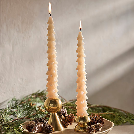 Tree Unscented Tapers, Set of 2 | Terrain