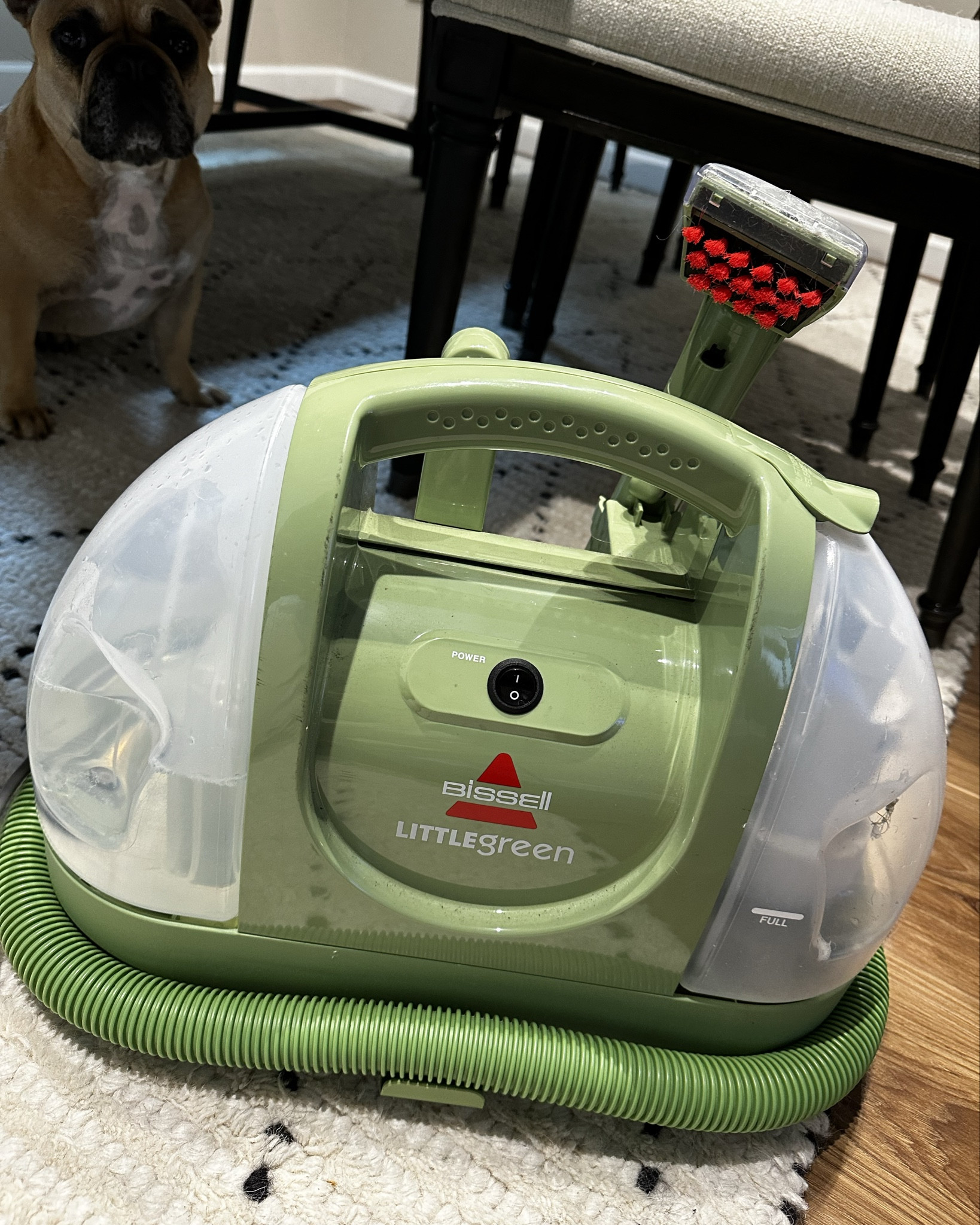 The best handy dandy carpet cleaner for all those messy spills 😆 on sale right now! 

#LTKFindsUnder100 #LTKHome #LTKSaleAlert