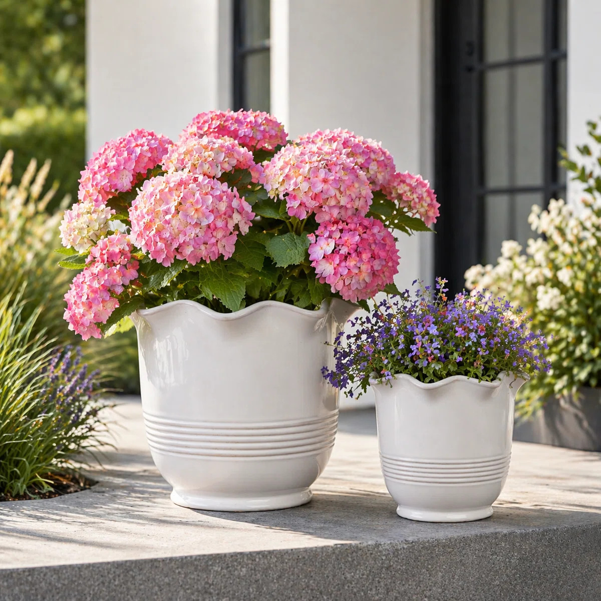 Planter Ceramic Scalloped Rim Ribbed Design Set Of 2 (Set of 2) | Wayfair North America