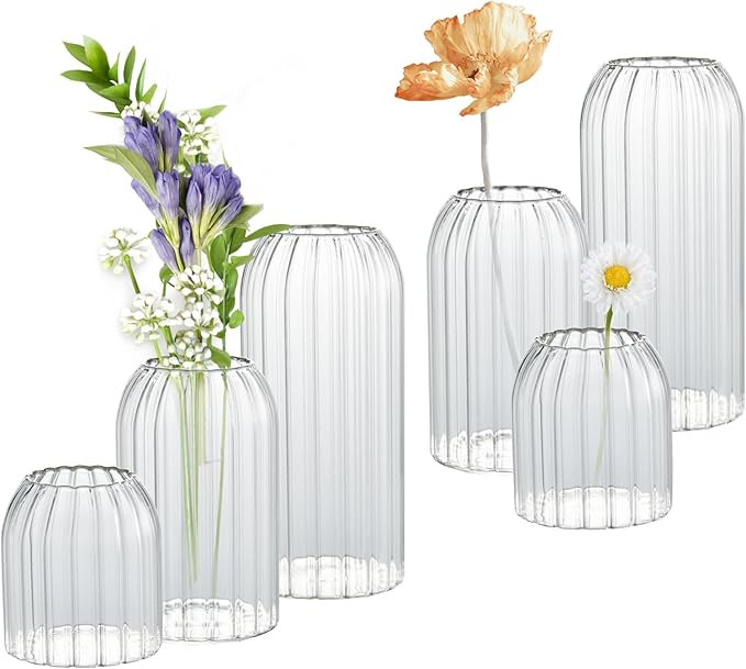 Bud Vases in Bulk Set of 6, Glass Small Vases for Flowers, Modern Cylinder Ribbed Vases for Weddi... | Amazon (US)