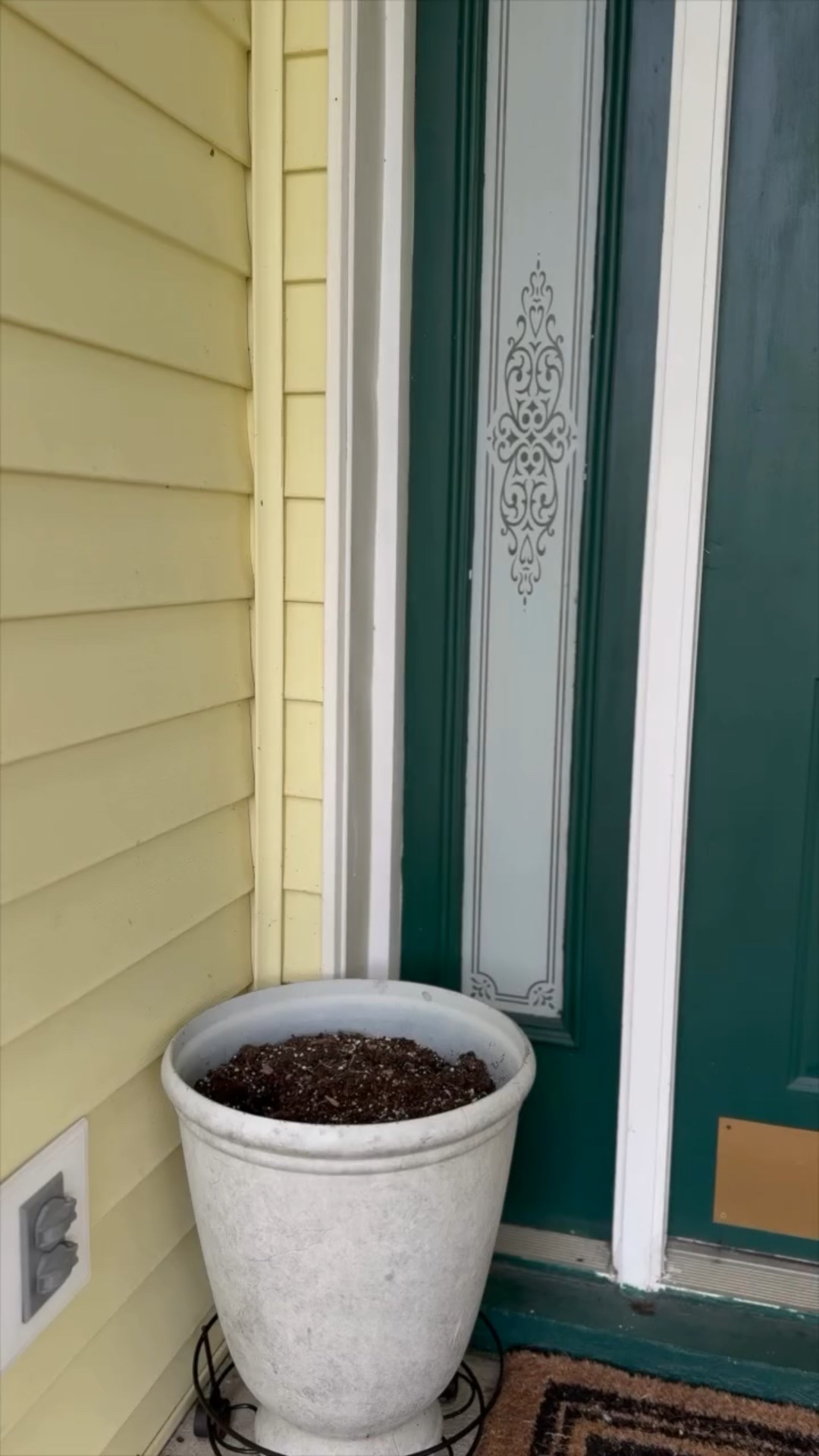 Have you tried these??? I’m going to a link in my stories if you’re interested. #amazonfall #amazonhome