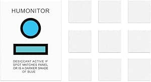 GoPro Anti-Fog Inserts (GoPro Official Accessory) | Amazon (US)