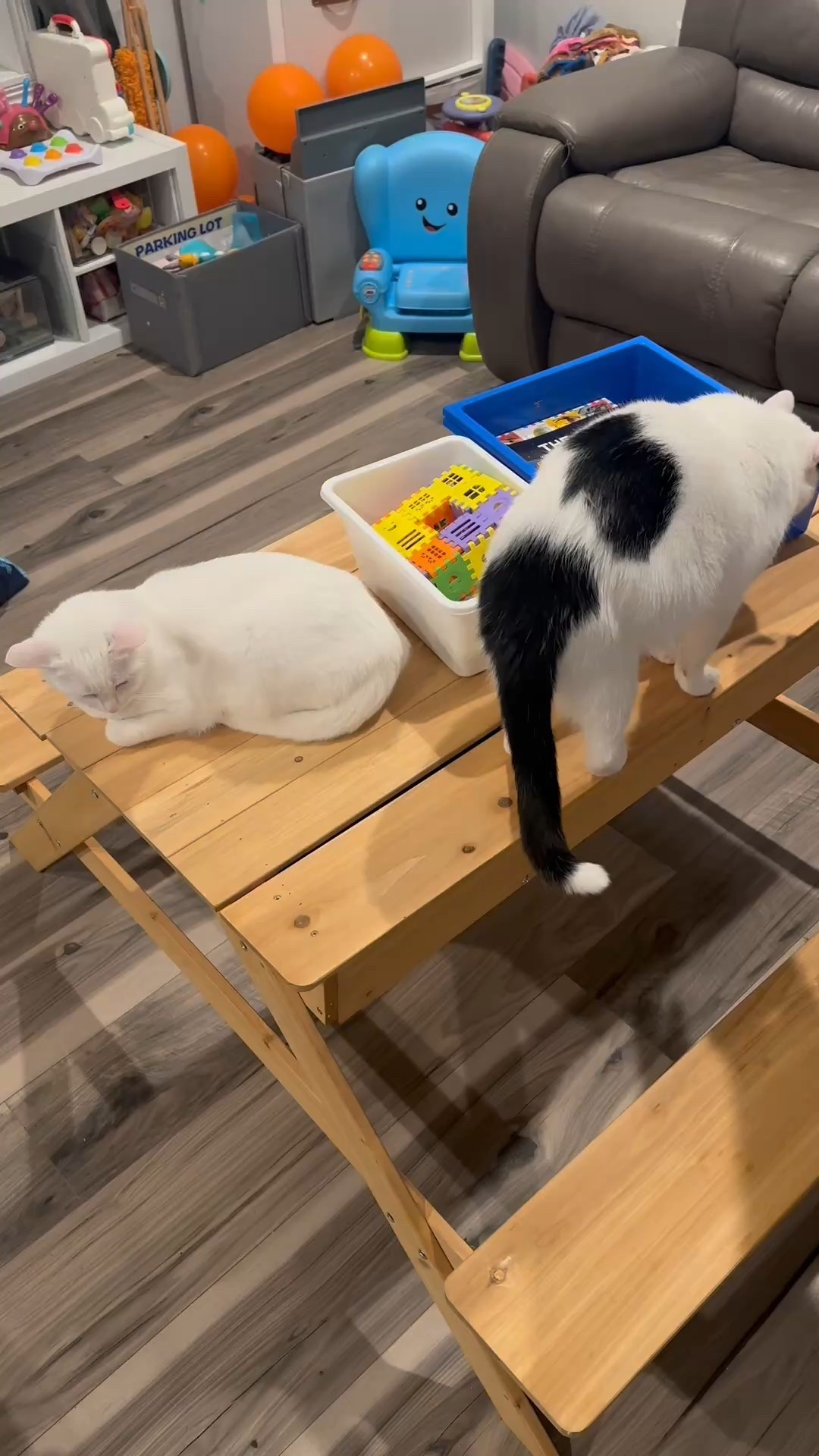 Sensory bin fun for Littles 


#LTKKids #LTKFamily #LTKBaby