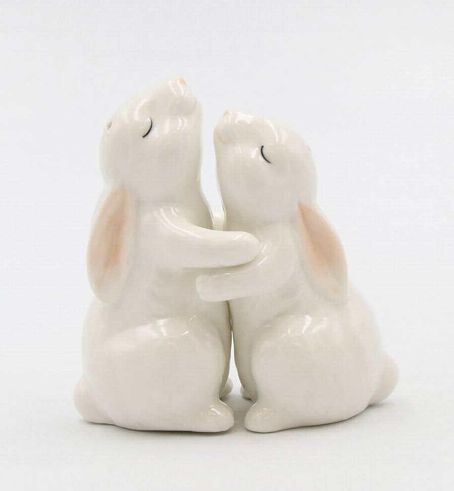 Fine Porcelain Spring Easter Hugging Bunny Rabbit Salt & Pepper Shakers Set, 3-5/8 H | Amazon (US)