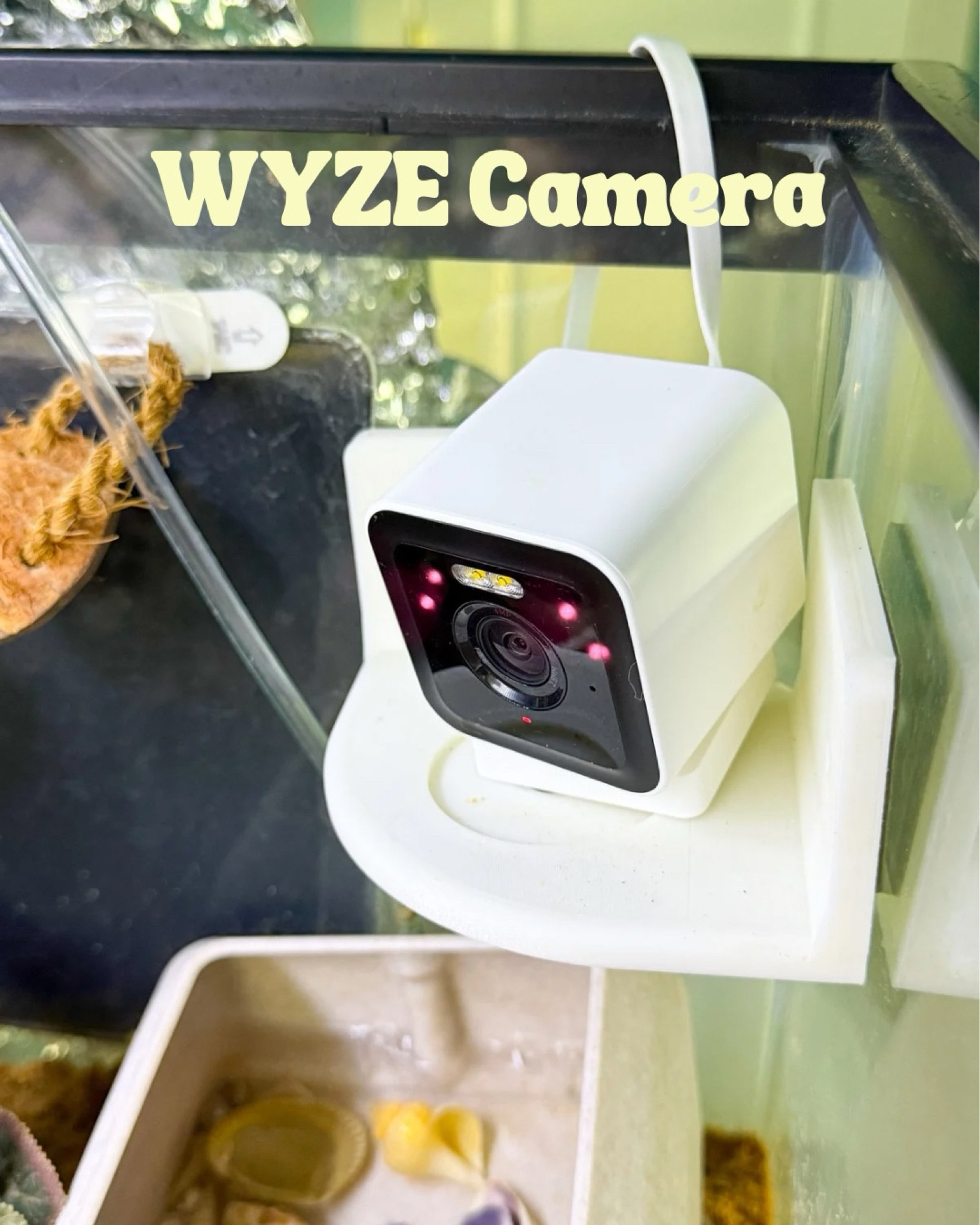 WYZE camera with SD card and mount to watch your hermit crabs tank