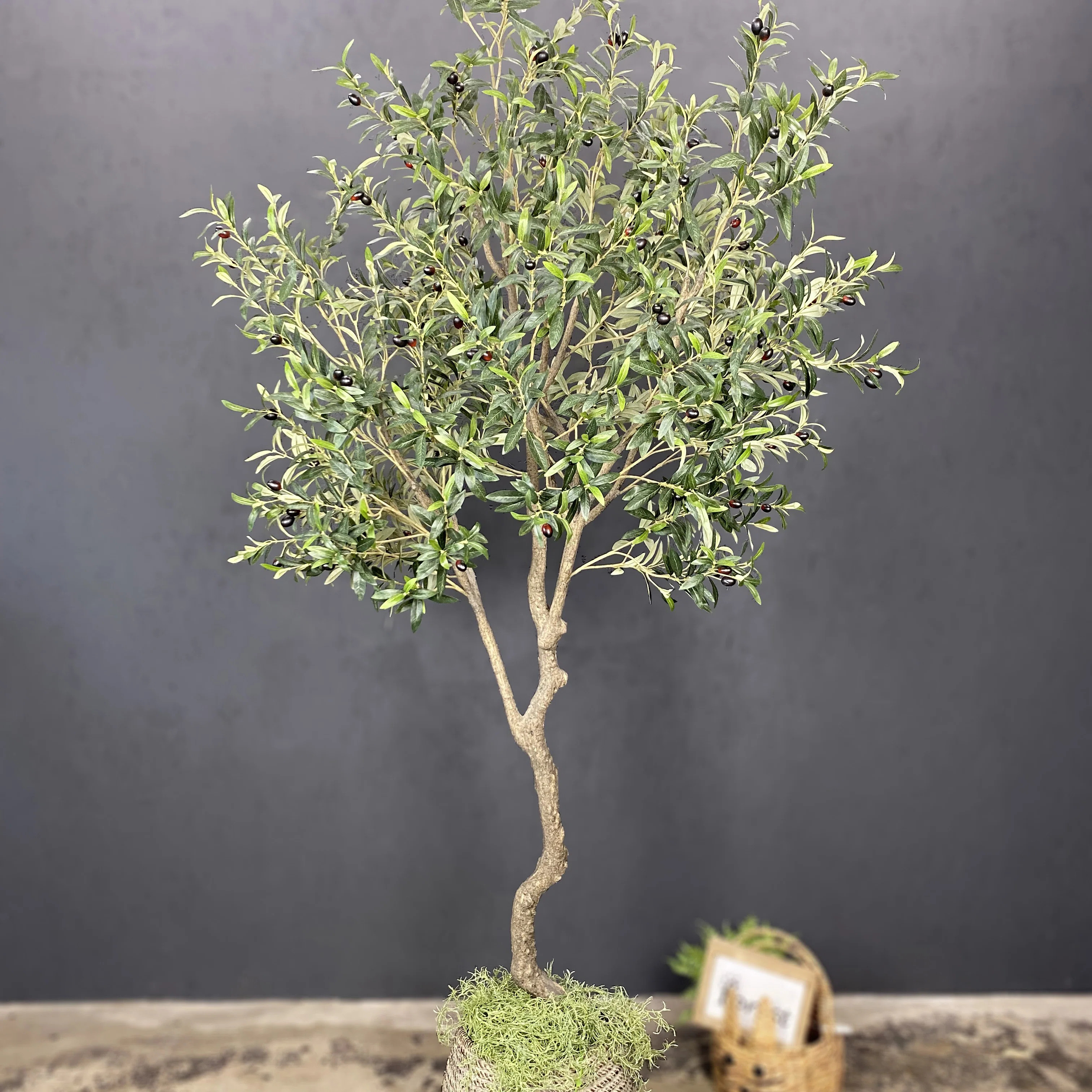 Primrue 94" Large Artificial Olive Tree,Artificial Tree,Faux Tree & Reviews - Wayfair Canada | Wayfair North America