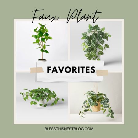 Here are my top 4 favorite faux plants! 


#LTKhome #LTKFind