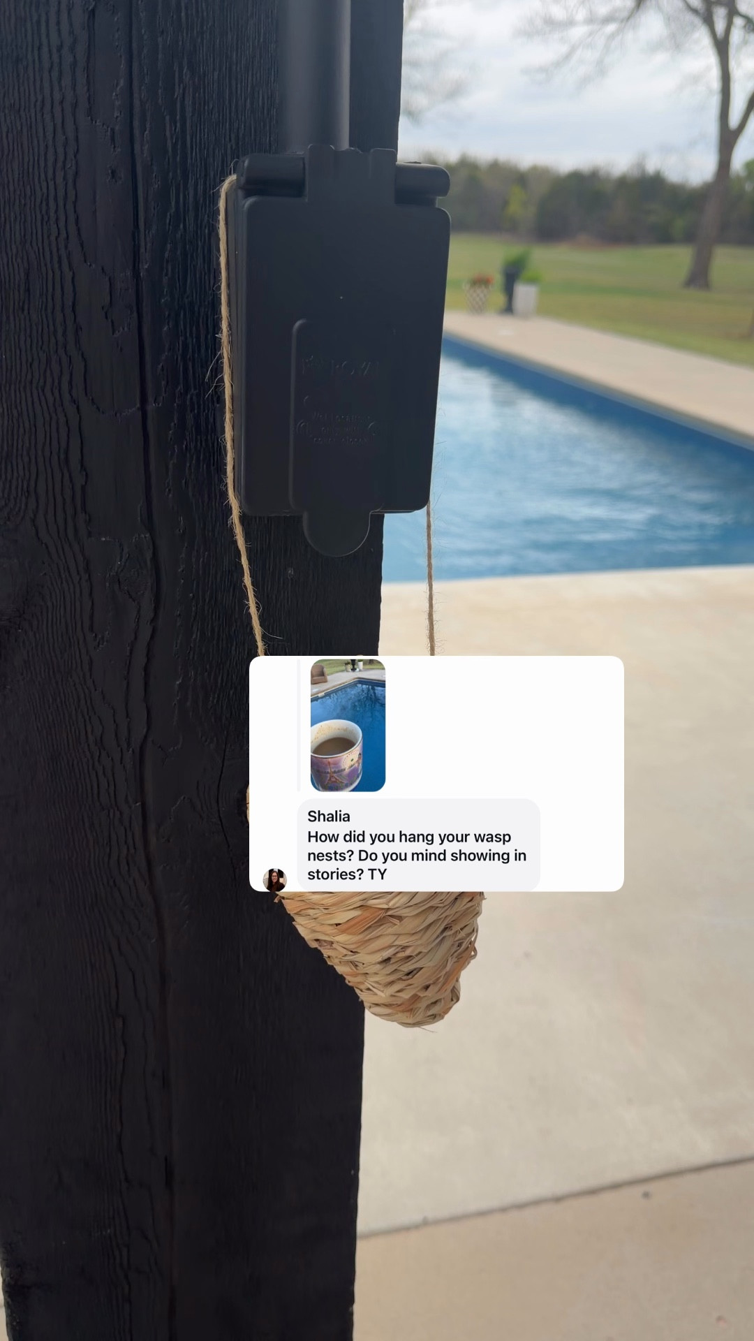 Nest decoys 

#LTKSeasonal #LTKOver40