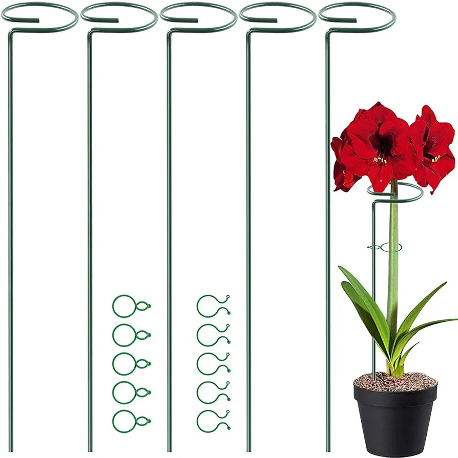 HiGift 17 inch Plant Support Stakes, 4mm Thick Garden Single Stem Flower Support Stake Amaryllis ... | Amazon (US)
