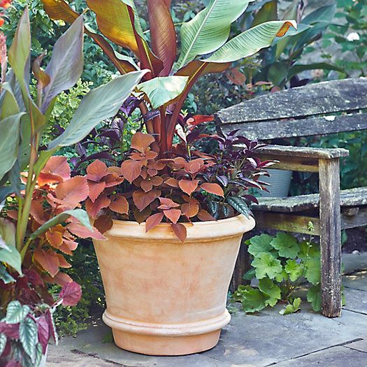 Tapered Terracotta Planter | Terrain