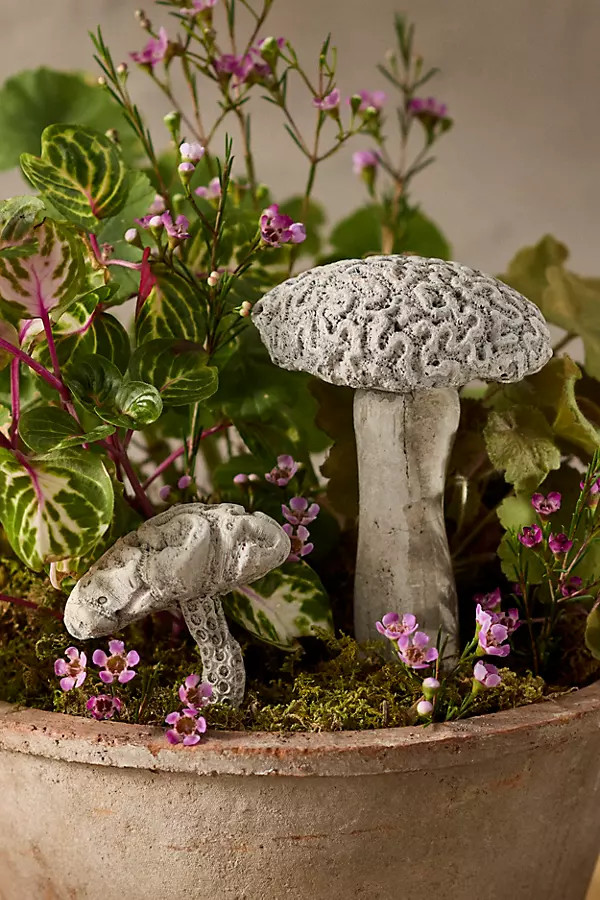 Brain Coral Mushroom Concrete Pick | Terrain