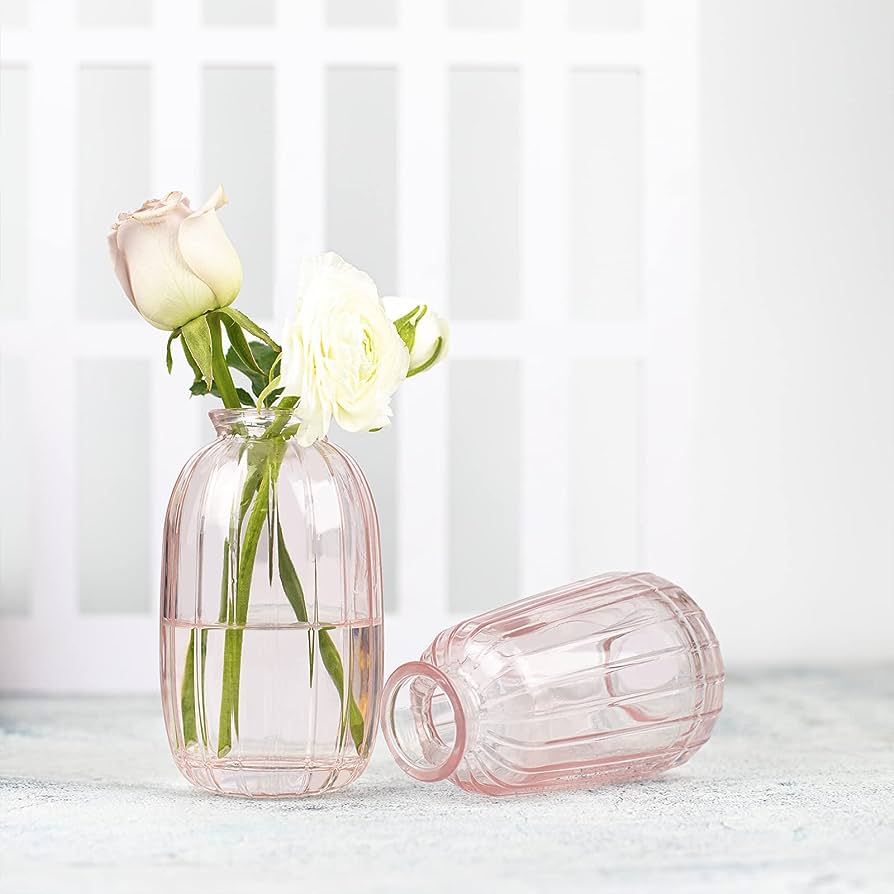 Pink Glass Vase for Single Flowers, Small Flower Vase, Bud Flower Vase for Centerpieces, Pink Roo... | Amazon (US)