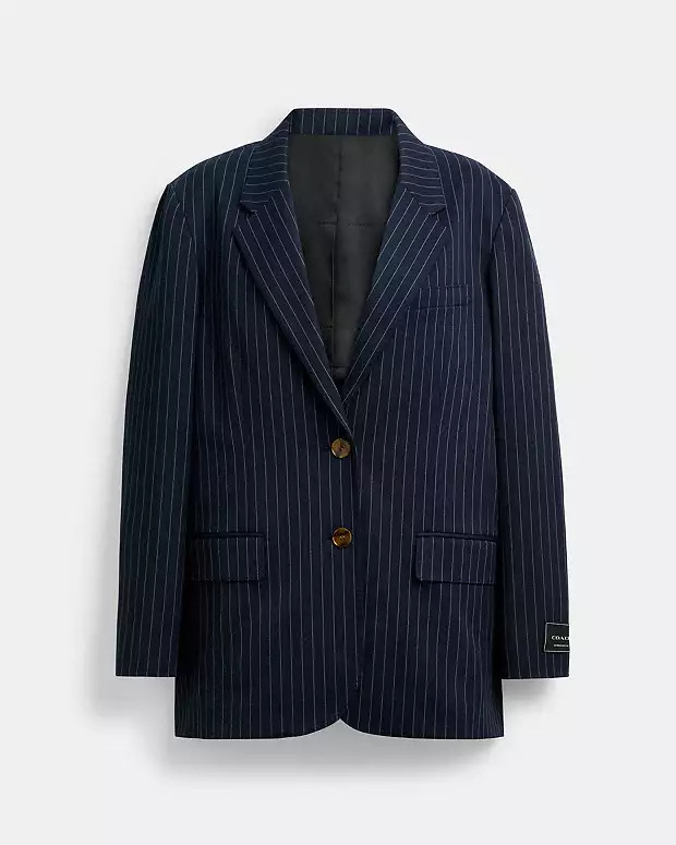 Single Breasted Pinstripe Blazer | Coach (US)