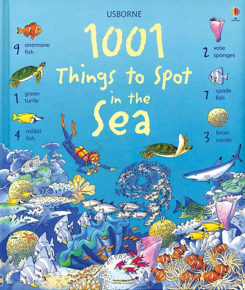 1001 Things to Spot in the Sea | Amazon (US)