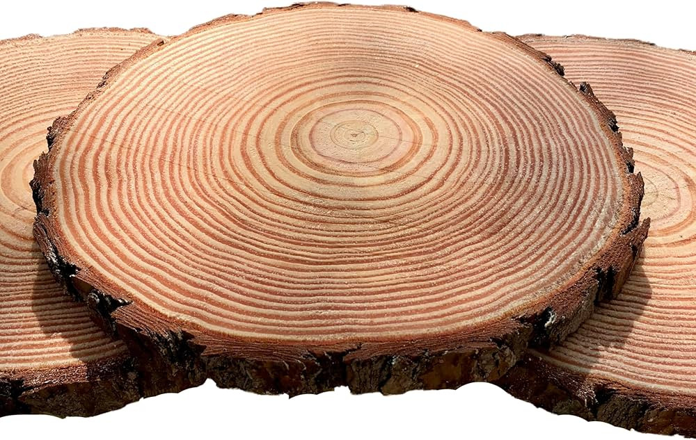 Set of (20) 9-10 inch Wood Slices for centerpieces! Wood Slice centerpieces, Wood Rounds, Tree Sl... | Amazon (US)