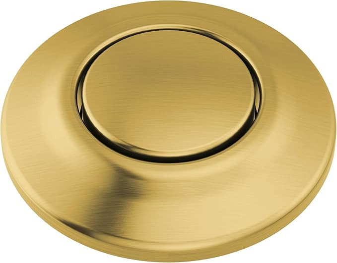 Delta 72050 Garbage Disposal Air Switch with Dual Outlet Power Module - Brilliance Polished Nicke... | Amazon (US)