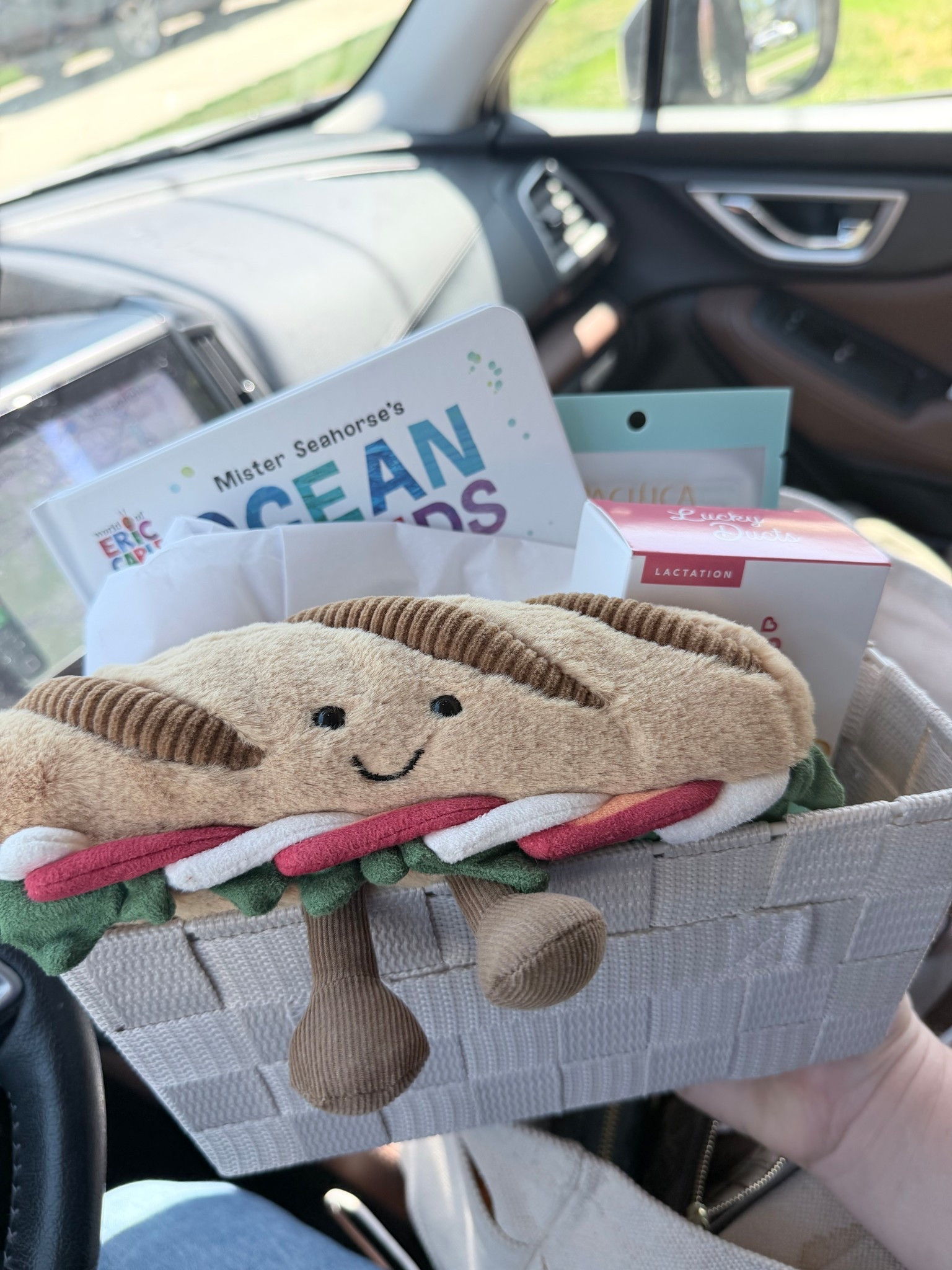 Jelly cats make my heart explode 



#LTKmomlife #LTKKids #LTKBaby