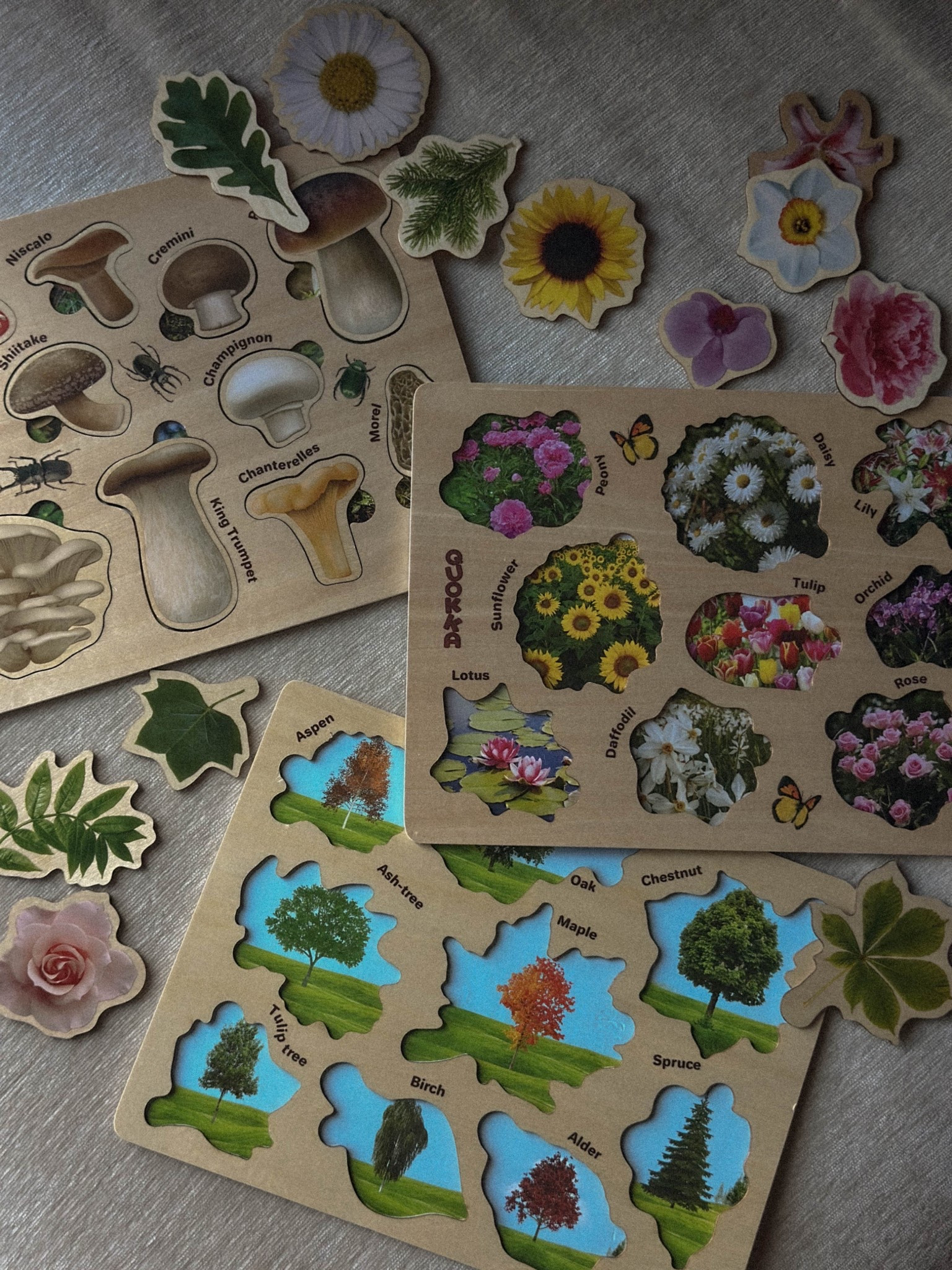 Educational nature puzzles for kids 🍄

#LTKKids