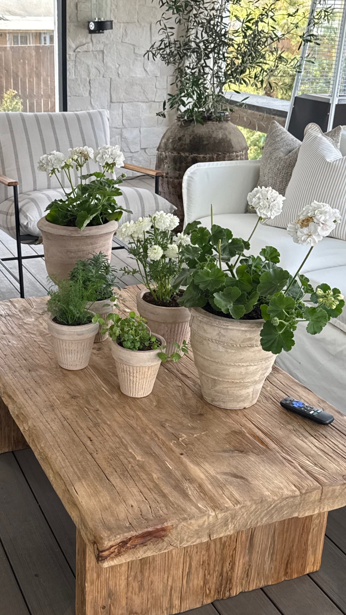 Linking my favorite planters here for the spring and summer season! 

#LTKSeasonal #LTKHome