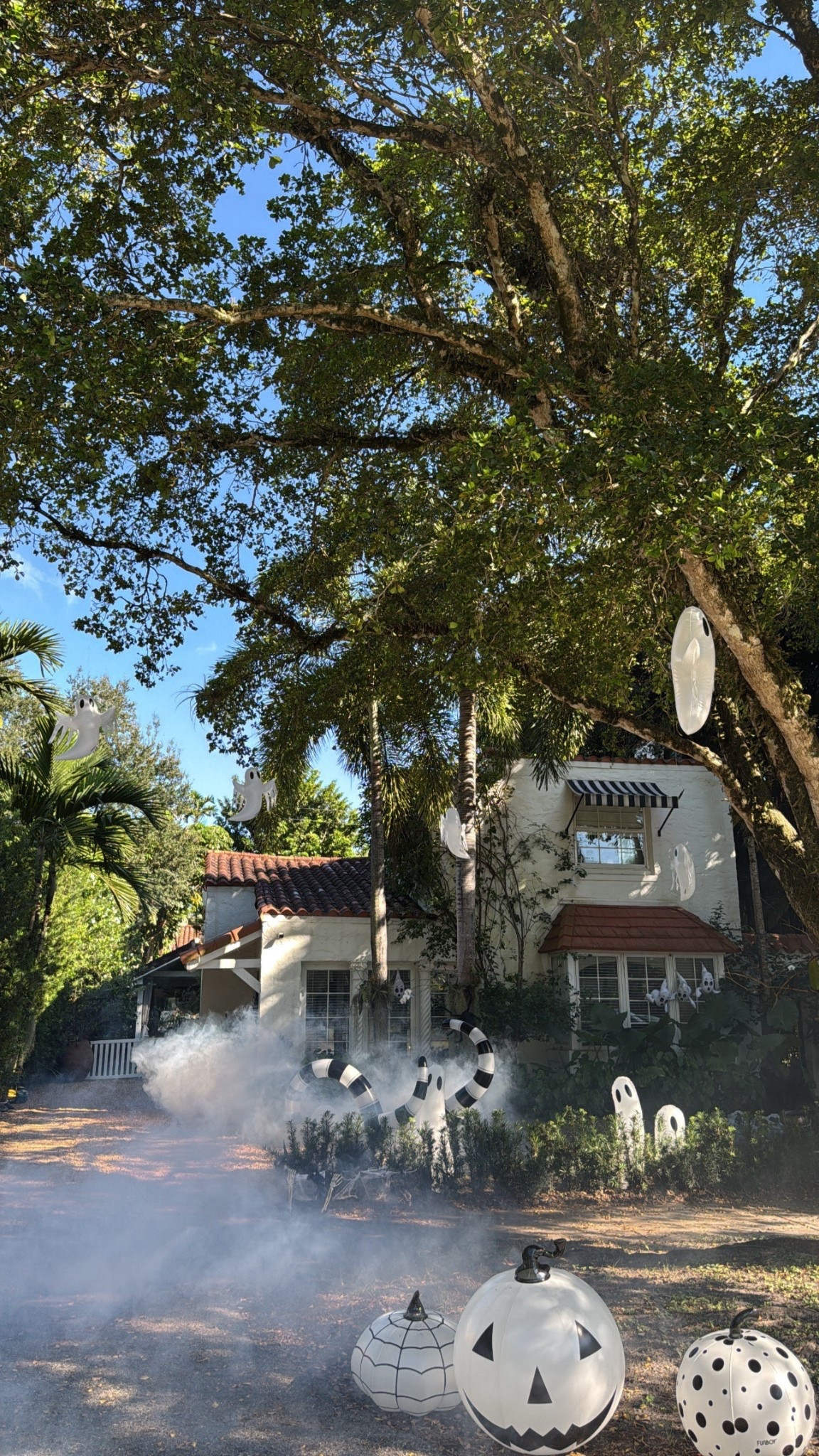 Halloween decor

Ghost Halloween decorations, Funboy Halloween, blow up Halloween, hanging ghosts, smoke machine 

#LTKHome #LTKHalloween #LTKSeasonal