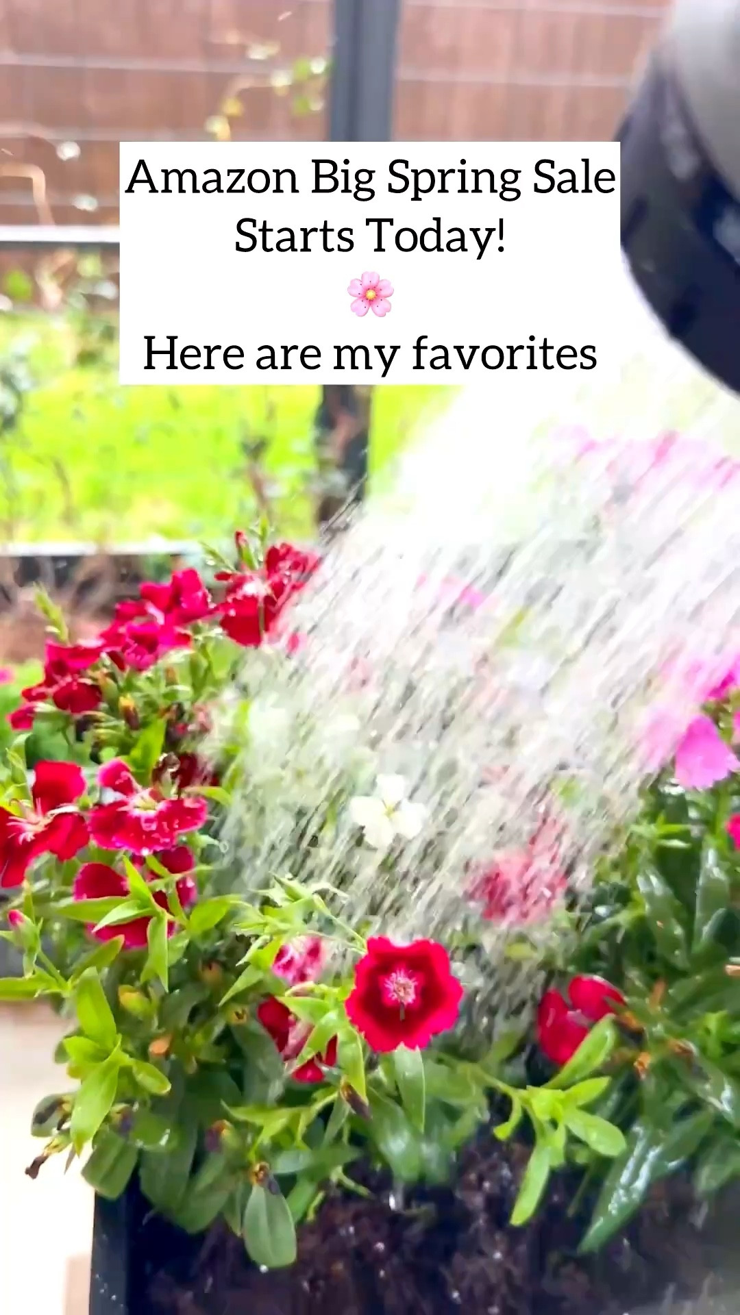 Drop “spring” below and I’ll send you the links to these plus more of my favorites.

Amazon Big Spring Sale is here. These are my top favorites I actually use.
	1.	Tineco Floor One i6 Stretch
Vacuums and washes. Self cleans. Huge time saver.
	2.	VegoGarden self watering planter with trellis
Waters for you. Great for tomatoes and climbers.
	3.	Blue Pro nursery pots
Inside most of my planters. Great drainage.
	4.	SANSI 10W clip grow light
My go to for my smaller potted plants. Great for low light.

#amazonfinds #plantsmakepeoplehappy #plantcaretips #indoorgardening #cleanhome

Amazon spring sale deals | plant care must haves | self watering planter tomatoes | indoor grow light setup | tineco floor cleaner | nursery pots plants

#LTKSaleAlert #LTKHome #LTKdayinmylife