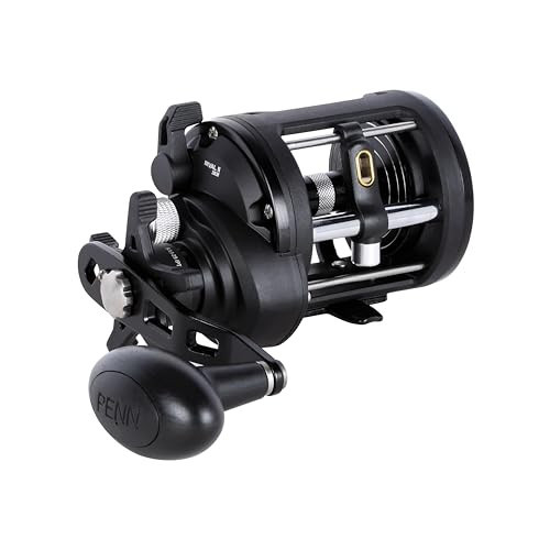Penn Rival II Level Wind Conventional Fishing Reel, Size 30, Graphite Body & Sideplates, Brass Main Gear, HT-100 Drag System, Auto-Engaging Gears | Amazon (US)