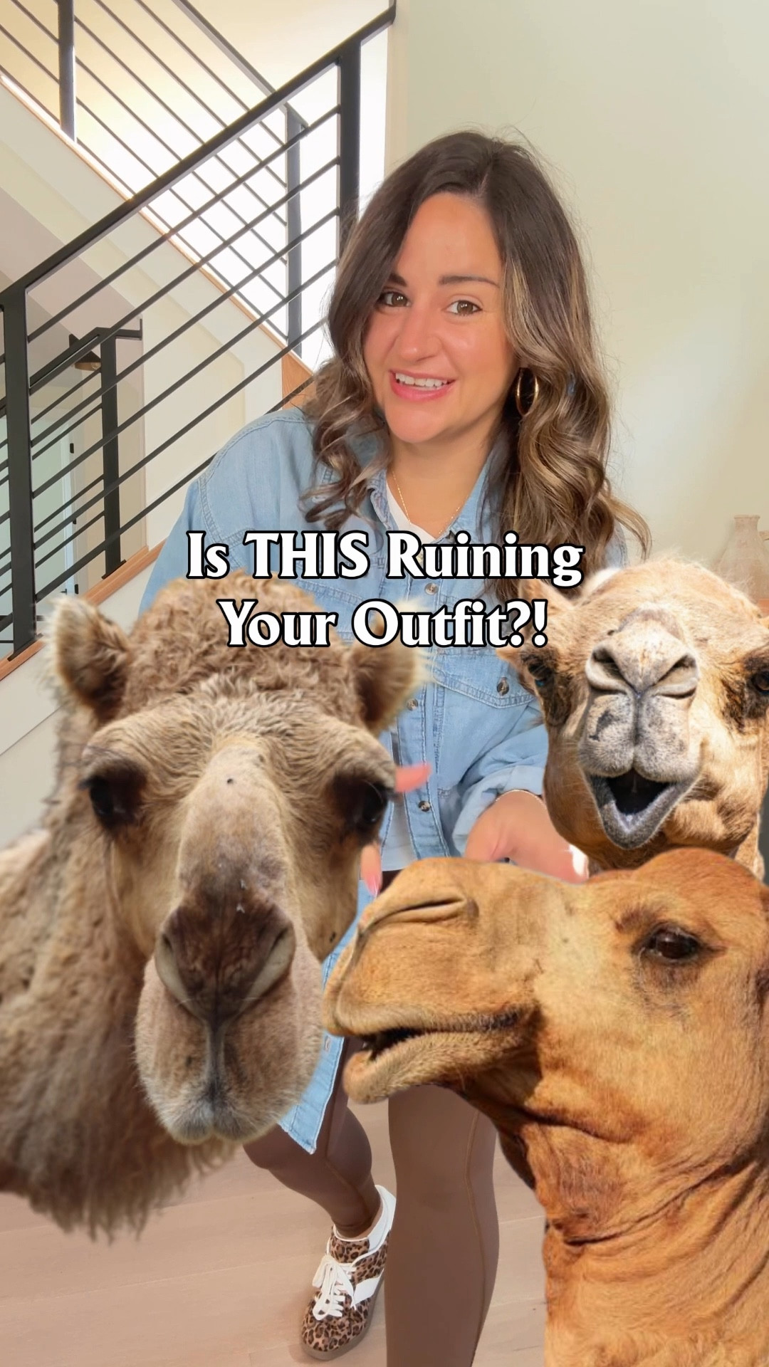 Is THIS ruining your outfit?! 🐪 

Loving these new seamless undies with extra cushion that help prevent frontal wedgie, protect from rogue sneezes, and also great for that time of the month. Also truly  pregnancy must-have too! 😅 My new wardrobe staple that I’m telling all my besties to get!!

#pregnancymusthaves #wardrobestaple #comfyoutfits Amazon find, comfy outfit, style over 30, mom style, Amazon must-have

#LTKmomlife #LTKgrwm #LTKBump