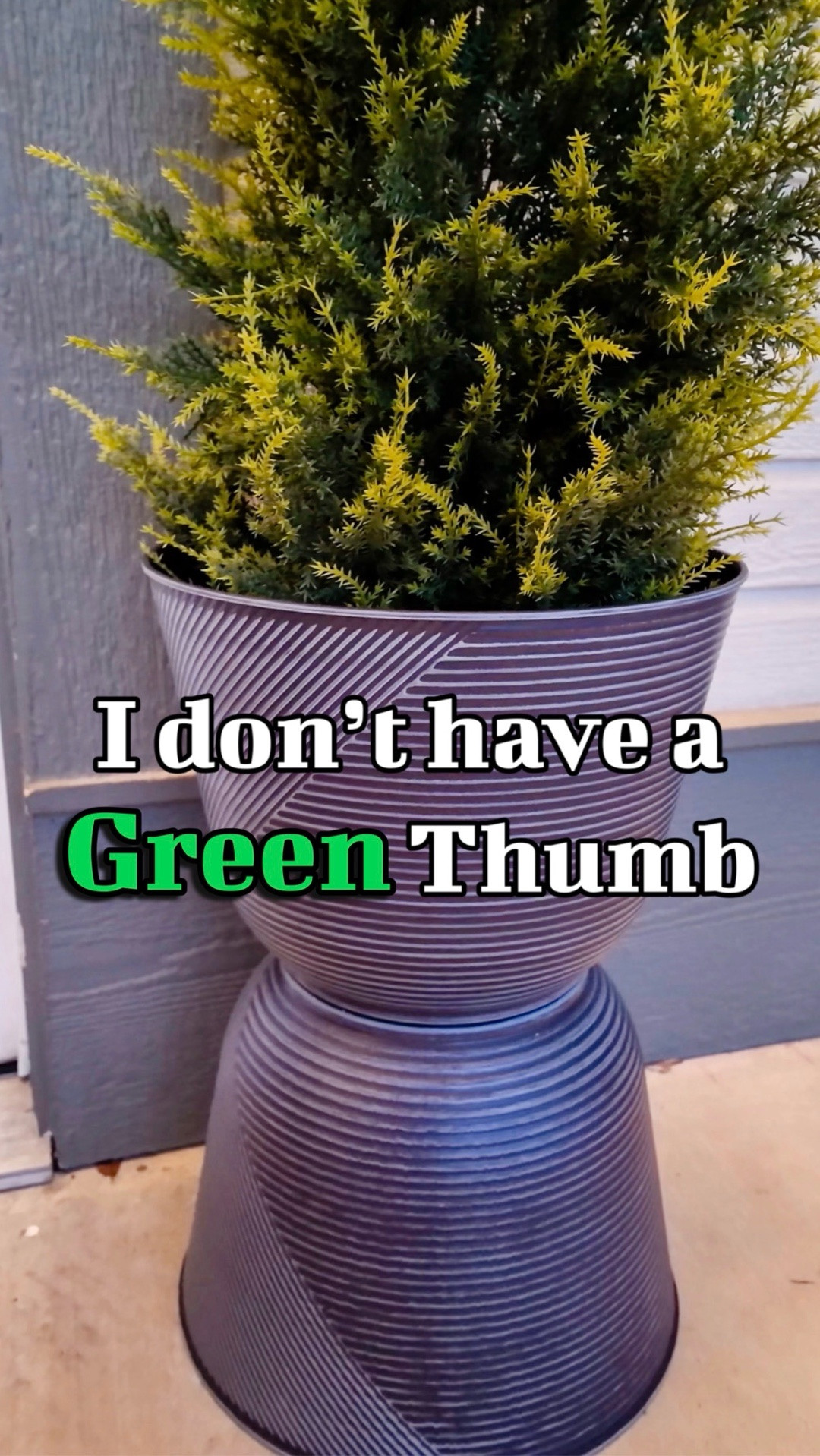 Artificial Plants • Topiary Trees | Patio & Garden Home Decor
🪴Already getting compliments on these cedar trees. They’re UV resistant which is great for this Texas heat and direct sunlight. 
🪴Enjoy your summer without the stress of keeping your expensive plants alive!

#garden #homedecor

#LTKSeasonal #LTKdayinmylife #LTKHome
