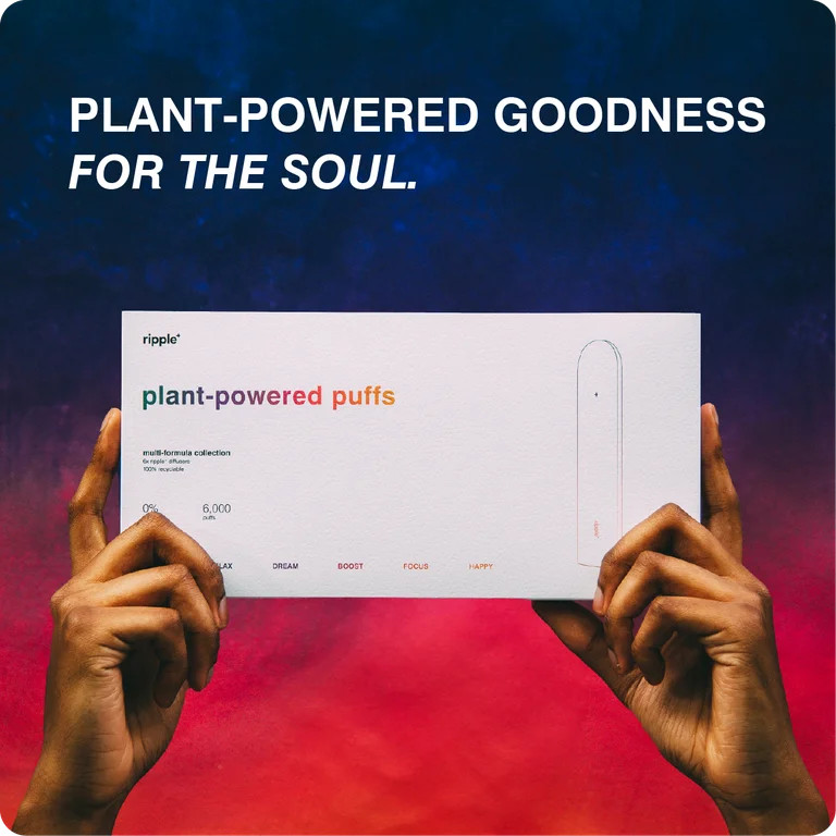 ripple 0% Nicotine Diffuser Variety Pack, Peppermint, Jasmine, Blackberry, Pomegranate, Mango and... | Walmart (US)