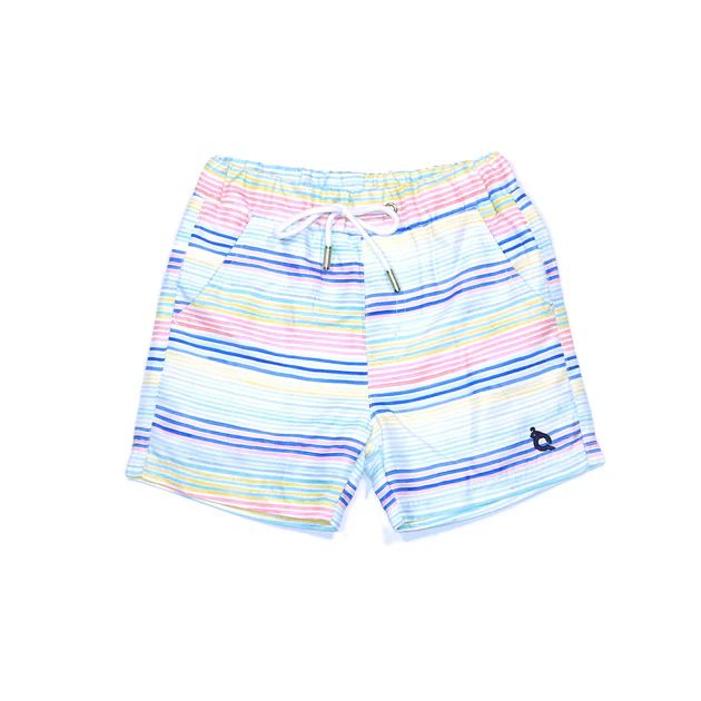 Watercolor Stripe Swim Trunk | BlueQuail Clothing Co.