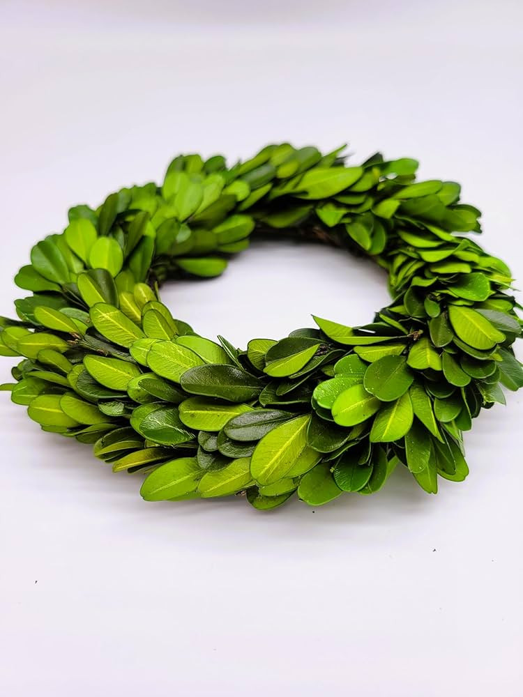 Boxwood Mini Wreath 6 Inch Preserved Boxwood Wreath, Wall Door Mounting Table Placement 6" Preser... | Amazon (US)
