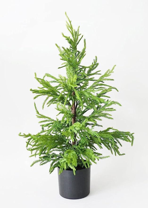 Afloral Real Touch Faux Norfolk Pine Tree - 36" | Amazon (US)