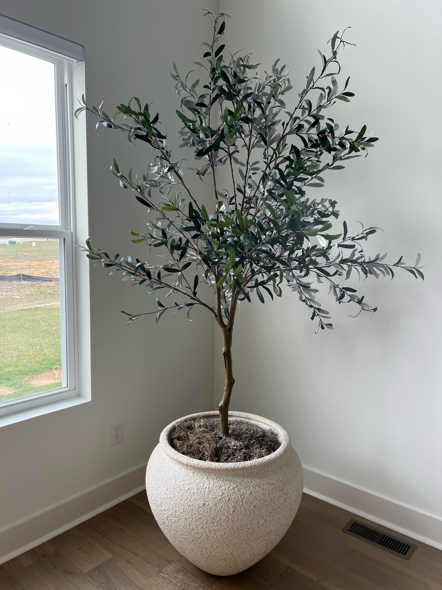 #LTKstyletip #LTKhome #LTKFind