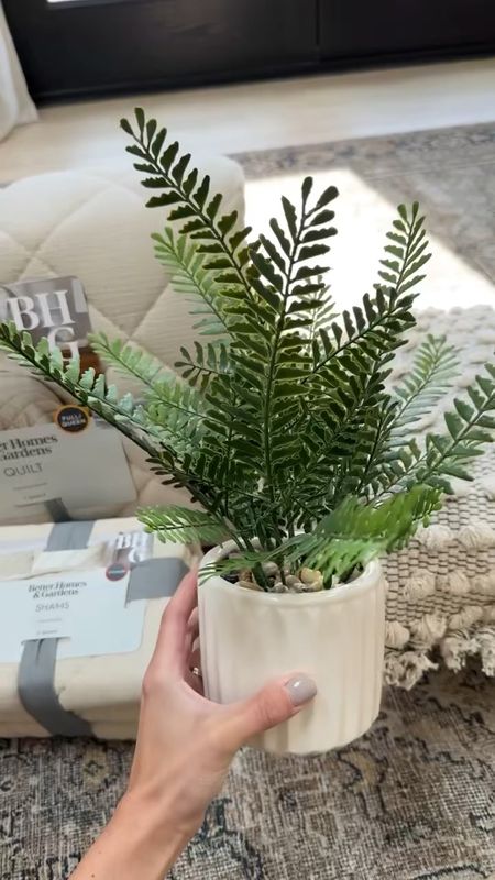 Faux fern plant with pot included under $8 - Walmart Home finds! 

#walmarthome
#walmartfinds

#LTKVideo #LTKfindsunder50 #LTKhome