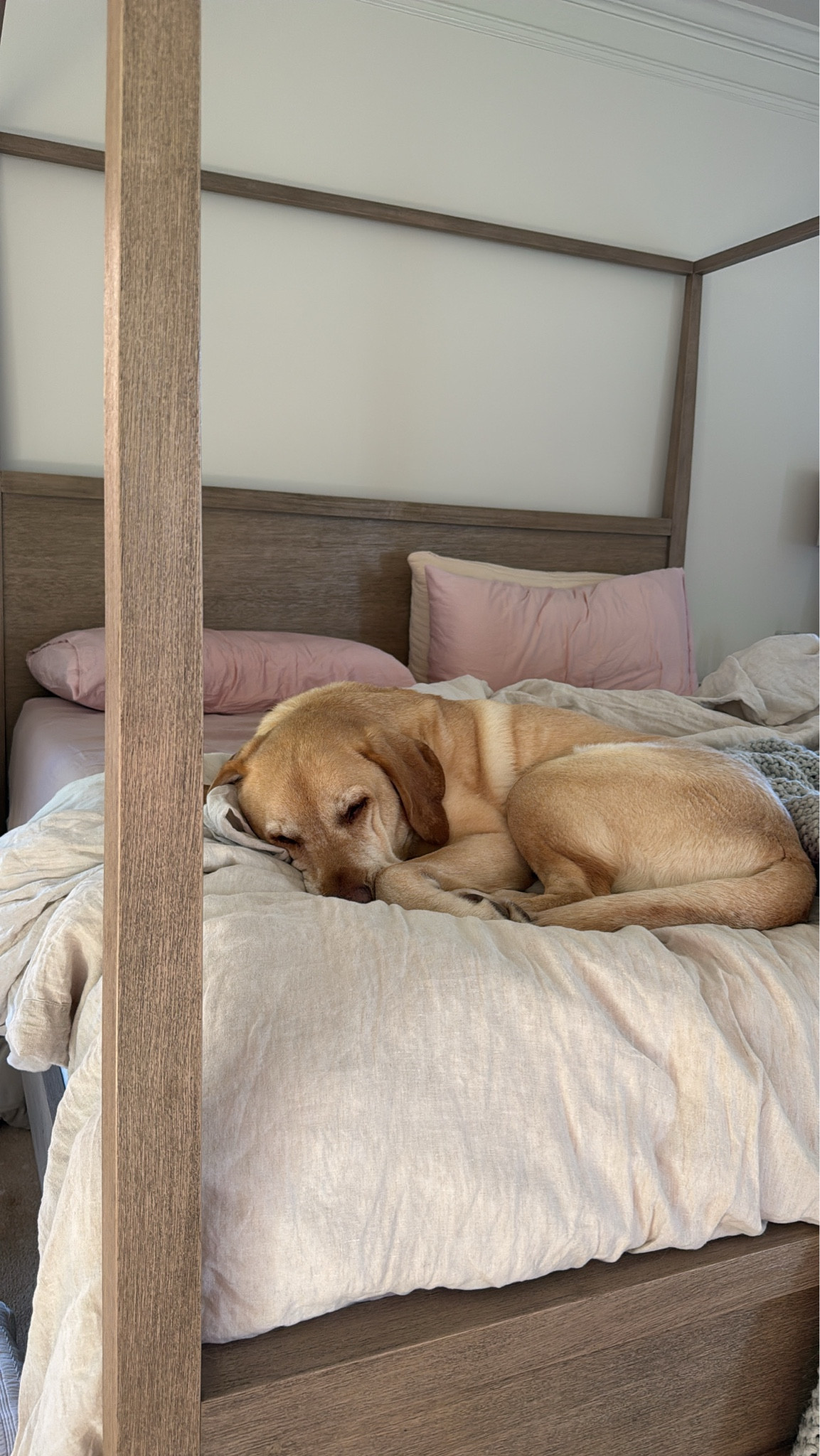 Duvet - color is natural
Sheets 
Bedding 

#LTKHome #LTKGiftGuide