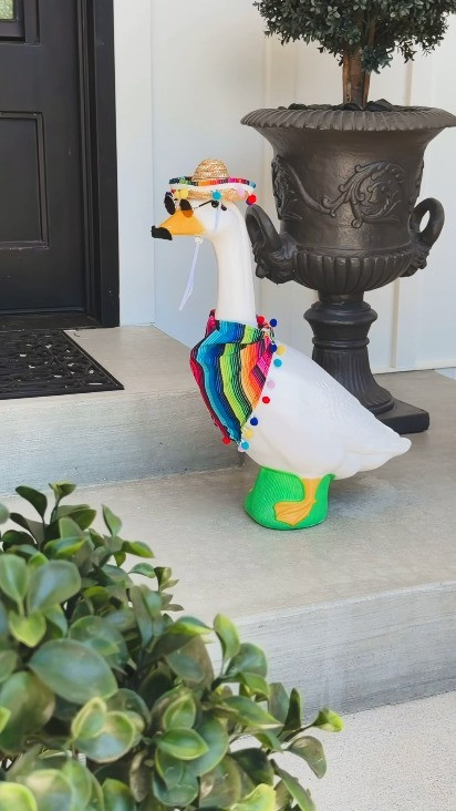My porch goose is all ready for Cinco de Mayo! 

 #LTKgrwm #LTKSeasonal #LTKHome