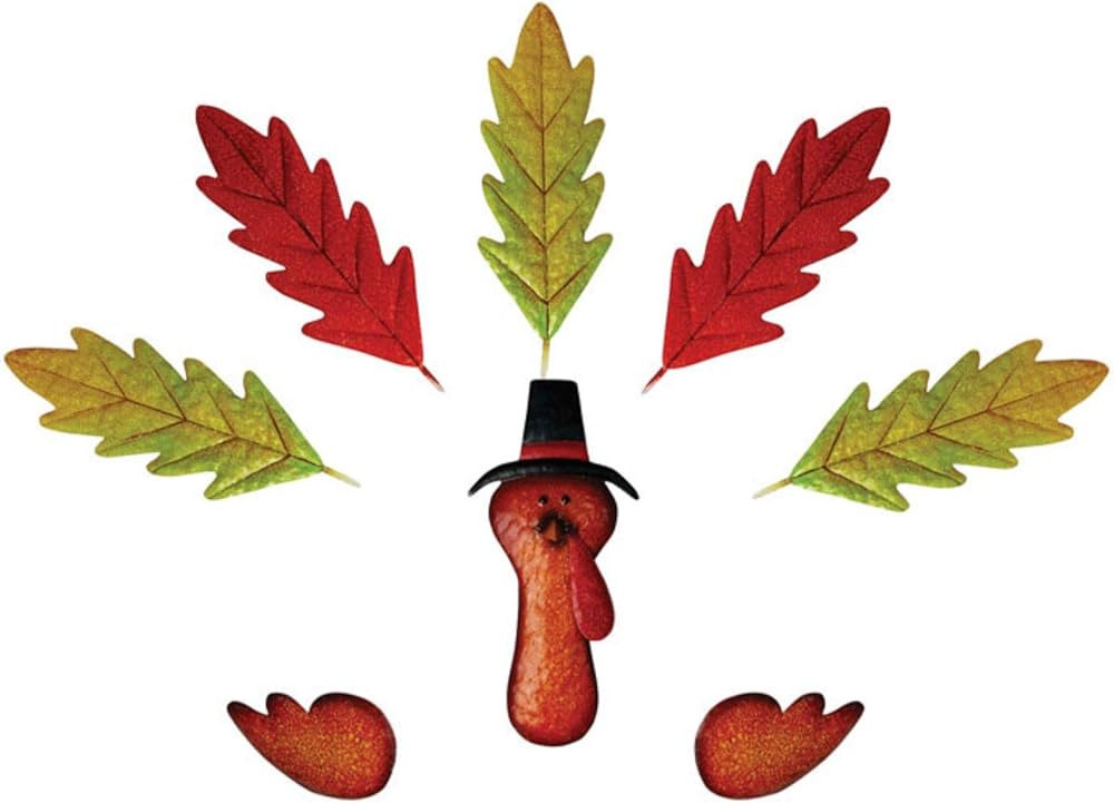 Alpine Corporation Create-Your-Own Pumpkin Turkey Kit, Festive Fall Activities and Decor for Fami... | Amazon (US)