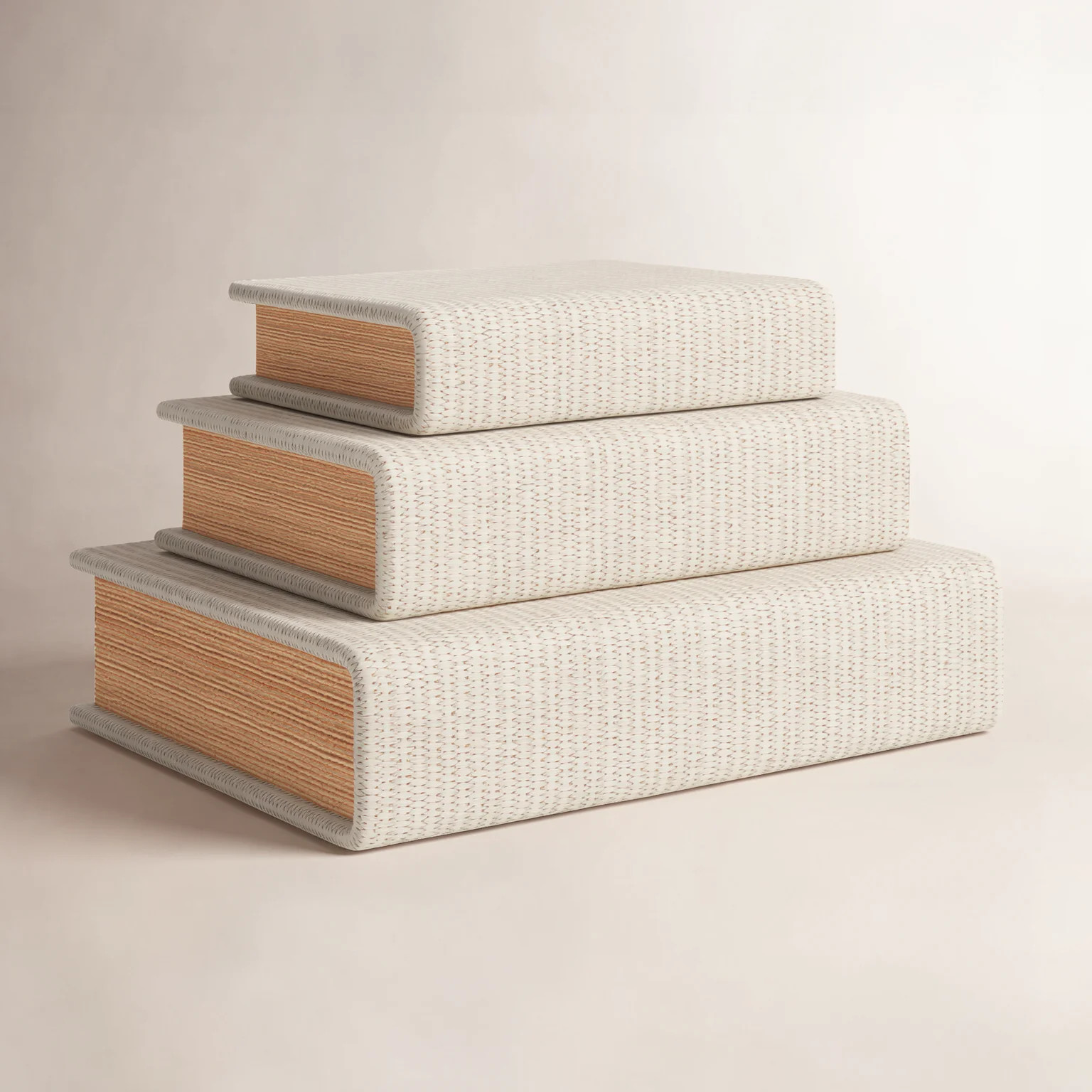 Vanora Faux Leather Book Shaped Decorative Box | Wayfair North America